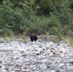 Nahanni-33